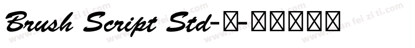 Brush Script Std-中字体转换